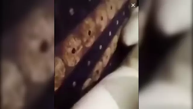 Любительский секс турчанки с мужем